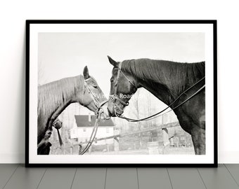 Farm Horses Touching Noses Photo, Print from Original 1943 Negative, Kissing Horses, Horse Wall Art, Old Oregon Photography, Love