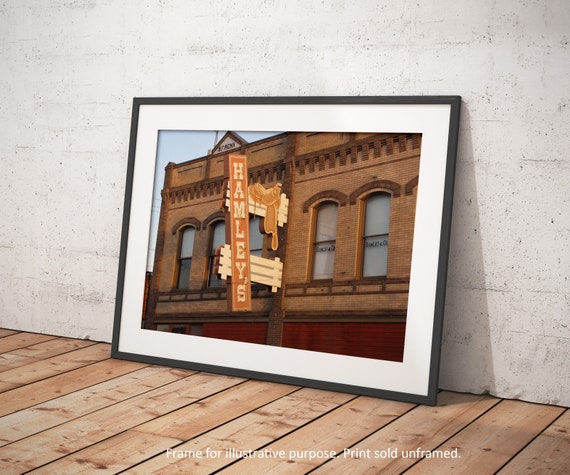 hamleys western store