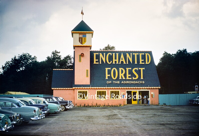 Enchanted Forest of the Adirondacks Photo Old New York Etsy
