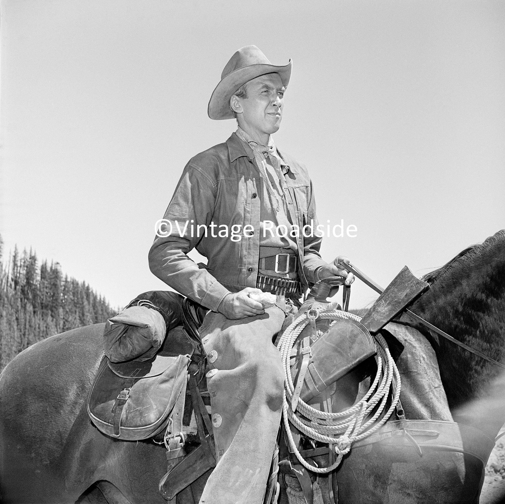 Actor Jimmy Stewart as a Cowboy Photo Archival Print From Etsy UK