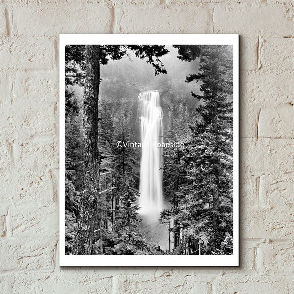 Vintage Salt Creek Falls Photo, Fine Art Photography, Print from Original 1930s Negative, Oakridge Oregon, Willamette National Forest