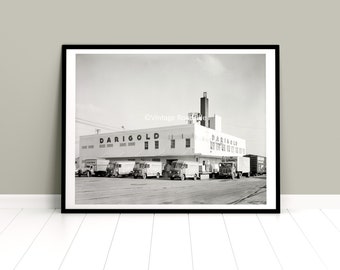 Darigold Dairy and Milk Trucks Photo, Portland Oregon, Print from original 1961 negative. Vintage Dairy Wall Art, SE Portland Print