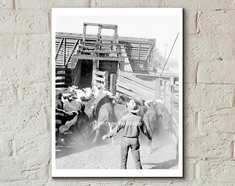 Shipping Cattle on the Lawrence, Stegall & Cooke Ranch, Archival print from original 1960 negative, Vintage Cattle Ranch photo, Arizona Art