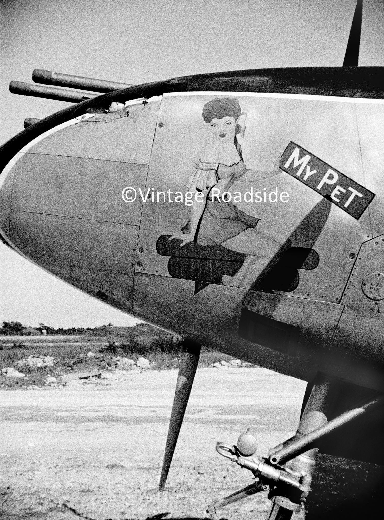 WWII P-38 Lightning Nose Art Archival Print From Original photo photo picture