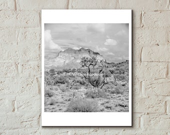 Vintage Arizona Desert Landscape Photo, Black and White Fine Art Photography, Print From Original 1950s Negative, Cactus Print, Picacho Peak