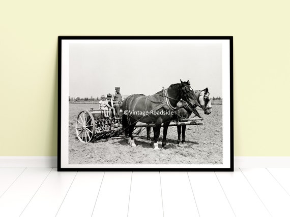 Horses Pulling Large Stack of Logs .. Antique Photo.. Photo Reprint  8x10 