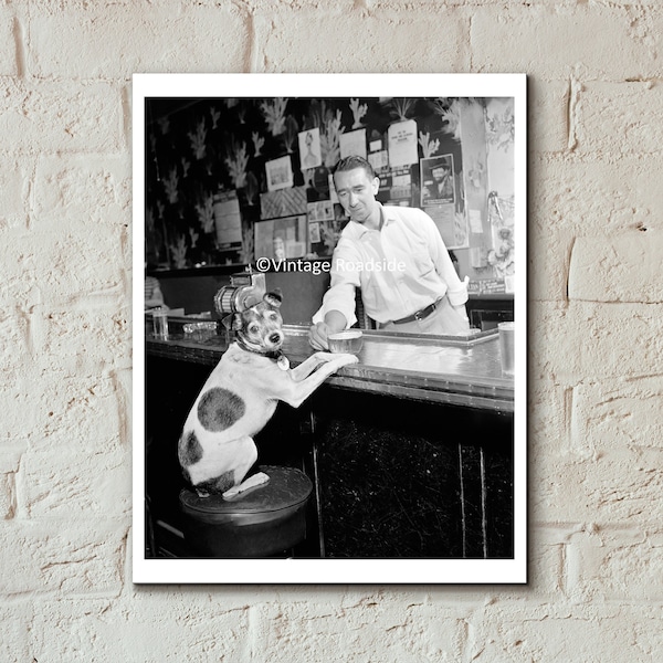 Vintage Beer Drinking Dog Photo, Print from original 1951 negative, Humorous Dog Photograph, Funny Dog Photo, Home Bar Wall Art