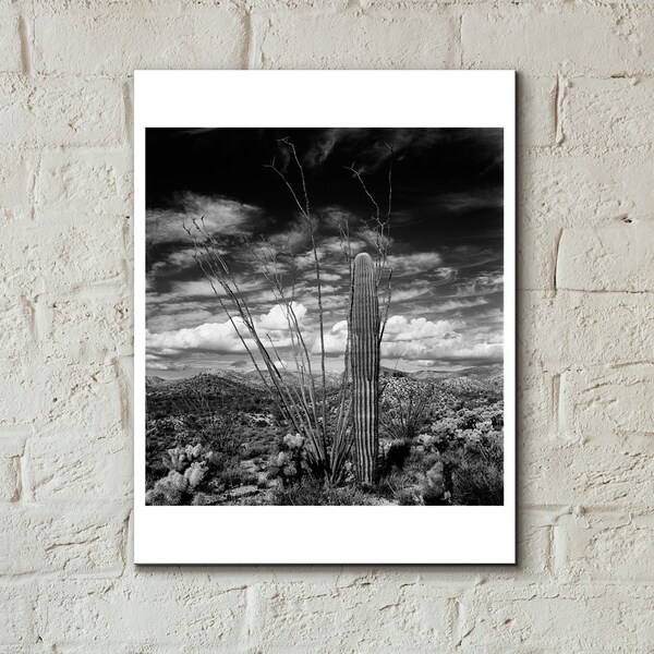 Vintage Arizona Desert Landscape photo, 8x10 Print from an original negative, Fine Art Photography, Cactus Photo, Saguaro Print, In Stock