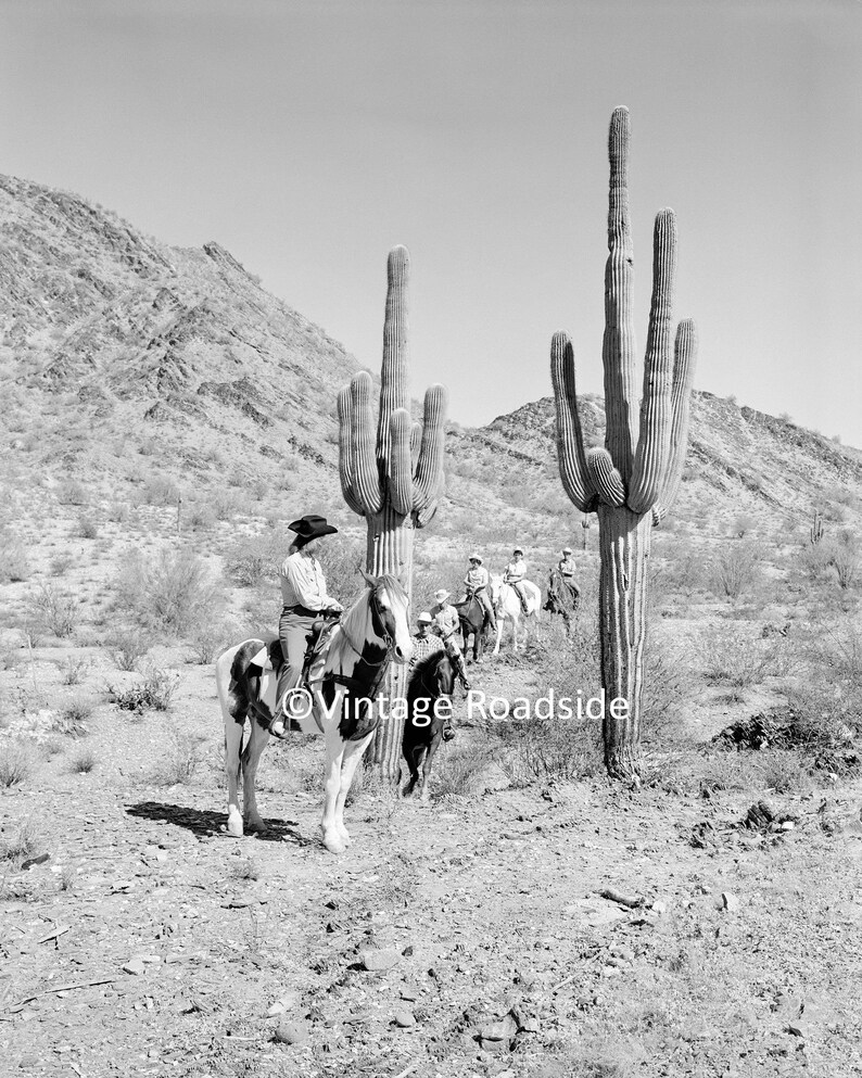 1950s Arizona Trail Ride Photo, Archival print from original 1950s negative, Black and White Arizona Desert Cactus, Dude Ranch Cowboy Photo image 2