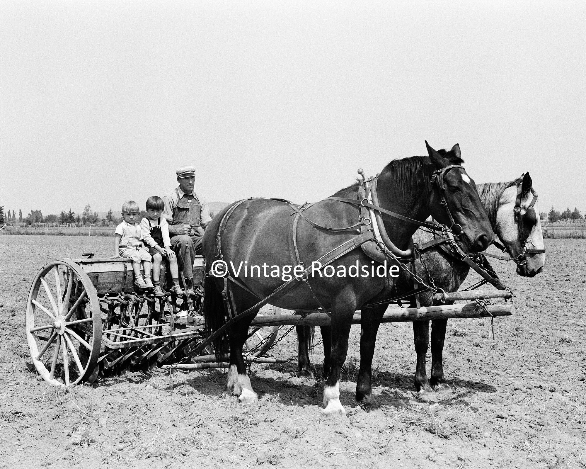 Vintage Farmer and Sons With Plow Horses Photo Archival Print - Etsy