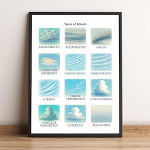 May include: A framed print illustrating various cloud types, including Altocumulus, Altostratus, and Cirrus. Each cloud formation is depicted with a watercolor-like effect, labeled with its respective name. The print is displayed against a light wooden surface.