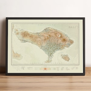 May include: A framed vintage-style map of Bali featuring topographical details in shades of brown, tan, and cream. The map displays the island's terrain, coastline, and surrounding ocean, with the text BALI clearly visible in the upper right corner.