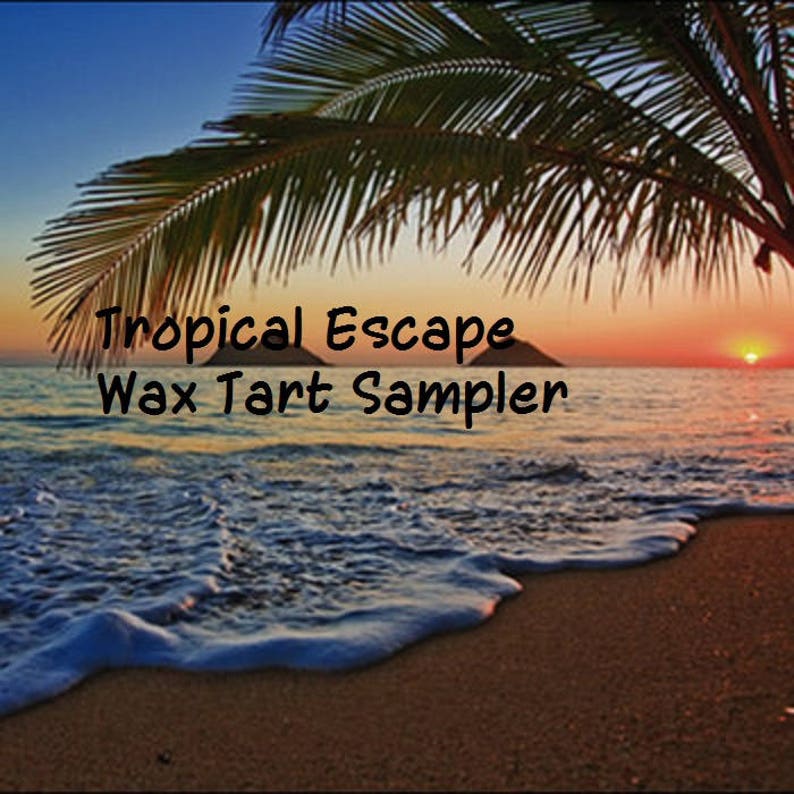 Misc Scents Banana Tropical Escape Mystery Box of HIGHLY SCENTED Wax Melts Tarts Shapes Sizes Ocean Coconut Pineapple Tropical Fruits