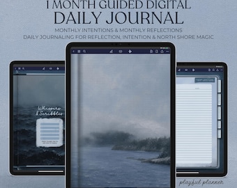 Digital Reflection Journal GoodNotes iPad Planner One Month Guided Daily Check In Hyperlinked Summer Self Care Lakelight