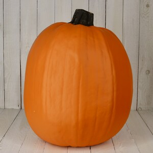 New for 2023. Our Largest Pumpkin Ever. 19.75 inches Tall -16inches across.