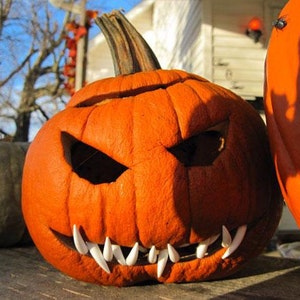 Pumpkin teeth 6 Pack Special. for Pumpkins, Masks ,Costumes, Dolls,Claws etc. 72 Buck & Fang Teeth in total image 6
