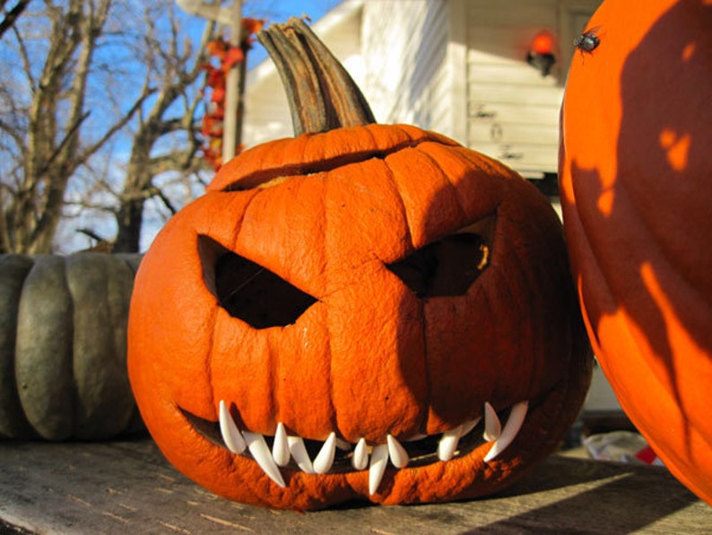 Pumpkin Teeth 3 Packs36pcsTeeth. True Blood Style Fangs for Masks ,Costumes, Dolls, and Halloween image 3