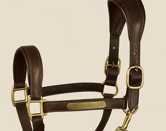 Gepolsterte Leder Pferdehalfter Messing Hardwares verstellbare Reiter Tack schwarz oder braun Leder