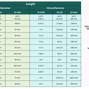 May include: A bangle size chart showing diameter, circumference, and length in inches and centimetres. Sizes range from Petite to XXX-Large. A diagram illustrates how to measure the hand for bangles.