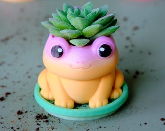 May include: A small, smooth, orange and pink frog-shaped planter sitting on a circular green base. The frog has large black eyes and a small mouth. A green artificial succulent plant is nestled inside the top of the frog's head.