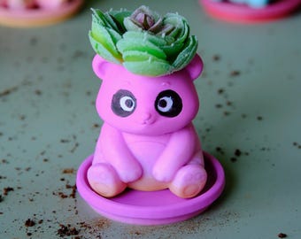 May include: A pink panda-shaped planter sitting on a matching pink saucer. The panda has black eye patches and a small nose. A green artificial succulent plant is placed inside the top of the panda's head, serving as the primary decorative feature.