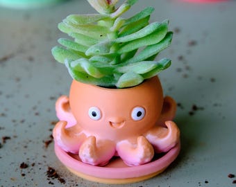 May include: A small, peach-colored octopus-shaped planter with a smooth finish, featuring two white eyes with black pupils and a small smile. The planter holds a green succulent plant and sits on a matching round pink saucer base.