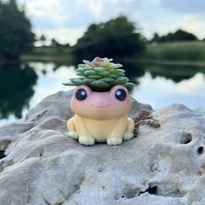 May include: A small, smooth, light-colored frog figurine with a gradient pink head and yellow body. The frog has large, dark, round eyes and a small smile. A green, layered succulent plant sits on top of the frog's head, acting as a planter.
