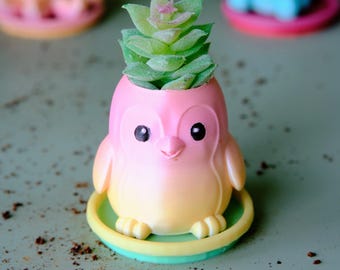 May include: A small penguin-shaped planter with a gradient pink and yellow finish, featuring black eyes and a small beak. The planter holds a green artificial succulent and sits on a round, light green saucer base.