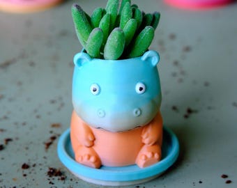 May include: A small, blue and orange hippo-shaped planter pot with a green succulent plant inside. The planter sits on a matching blue circular saucer and features a gradient color transition from blue at the top to orange at the base.