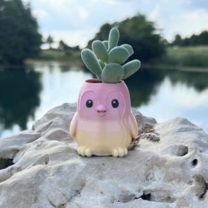 May include: A small, penguin-shaped planter featuring a smooth gradient transition from pink at the top to a pale yellow at the base. The planter has large black eyes, a small beak, and two feet, and it contains a green succulent plant.