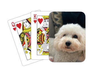 May include: A white dog with fluffy fur and black eyes is looking directly at the camera. The dog is sitting on a couch with a black and yellow patterned throw blanket.