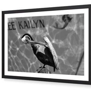 FRAMED PHOTOGRAPHY: Black and White Print, Pelican, Apalachicola Florida, Wall Art, Home Decor, Large Print, nautical wall art.