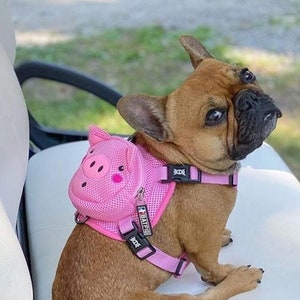 backpacks for small dogs