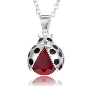 Peut inclure: Un collier argenté avec un pendentif coccinelle. Le pendentif a un centre en cristal rouge et des détails de points noirs. Le collier est un bijou délicat.