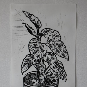 May include: Black and white linocut print of a potted plant with large, patterned leaves. The plant is in a round pot with vertical lines. The print is on white paper and mounted on a white wall.