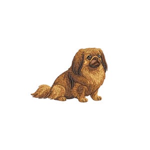 May include: A detailed illustration of a Pekingese dog in shades of brown. The dog is sitting, with its fluffy fur and expressive eyes clearly visible. The artwork has a textured appearance, giving it a realistic look.