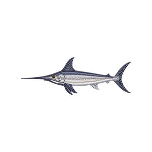 May include: An embroidered design of a swordfish, featuring a long, pointed bill and a streamlined body. The fish is primarily silver with dark blue fins and a yellow eye, set against a white background. This design is suitable for nautical-themed crafts.