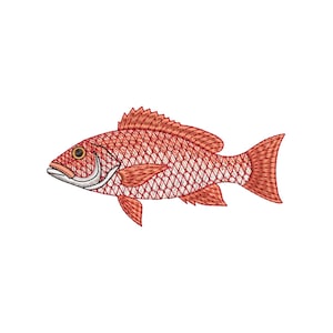 Broderidesign för röd snapperfisk, maskinbroderifil för saltvattensfiske, broderi av havsfiskhatt för pojkar och män