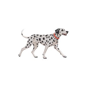 May include: Embroidered image of a Dalmatian dog in a walking pose. The dog has a white coat with black spots, a black head, and a red collar. The dog's tail is curved, and it is set against a white background.