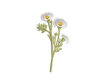 Disegno per ricamo di fiori di camomilla, Disegni per ricamo a macchina da giardino, File per ricamo di fiori di campo, Schema per ricamo Cottagecore