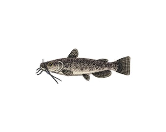 Flathead Catfish embroidery design, Fishing machine embroidery designs, Fish embroidery files, Angler embroidery pattern