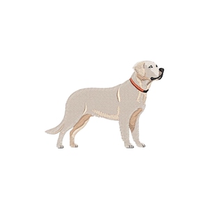 Labrador embroidery design, Dog machine embroidery designs, Dog embroidery designs, Dog embroidery files, Dog embroidery pattern