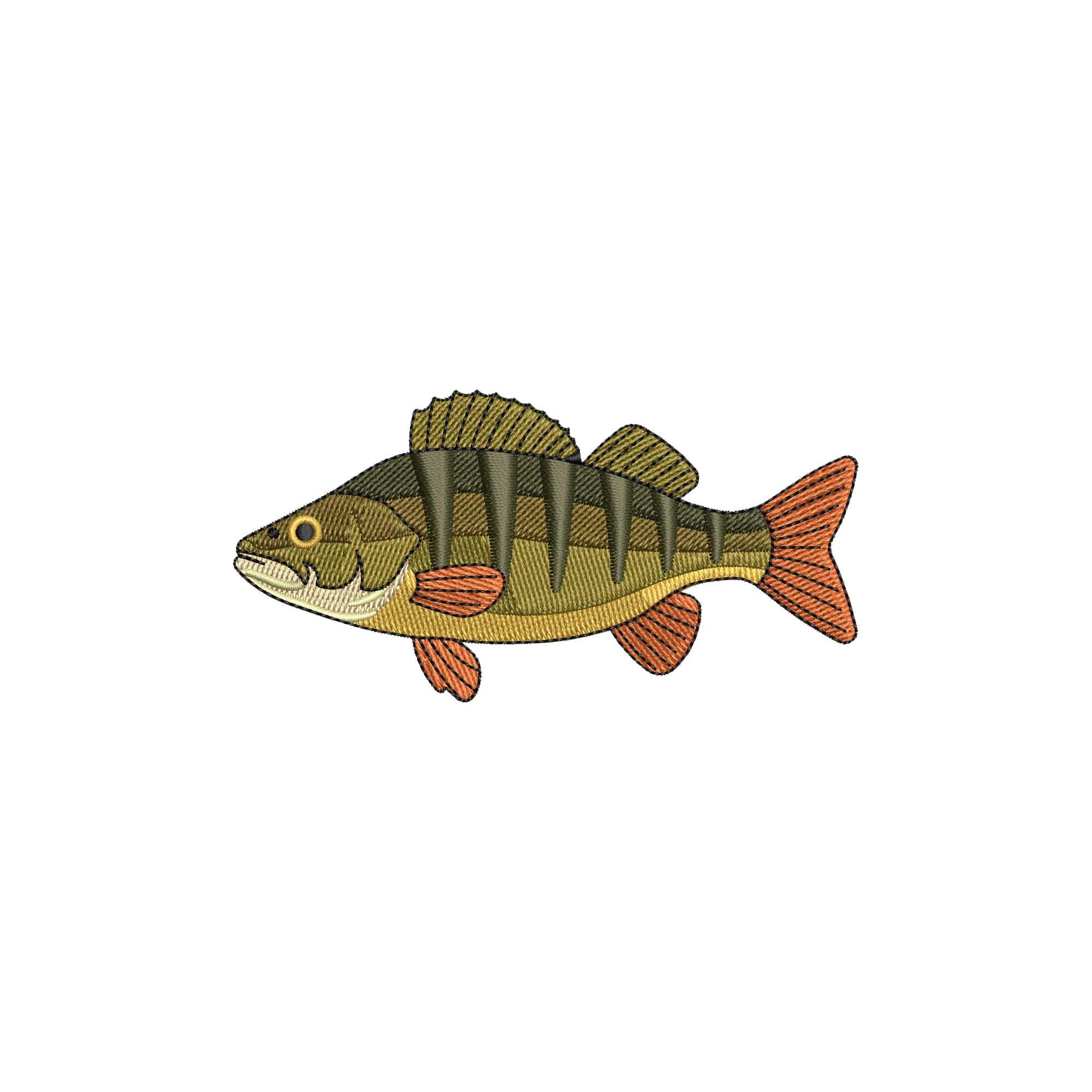 Perch Fish Patterns Perch Fish Embroidery Design, Fishing Machine Embroidery Designs ...