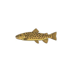 Pode incluir: Ilustração detalhada de um peixe, provavelmente uma truta, com corpo castanho claro e manchas castanhas escuras. O peixe tem barbatanas e cauda, tudo em tons de castanho, sobre um fundo branco. A obra de arte é limpa e precisa.