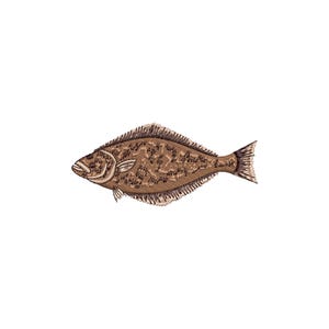 May include: A detailed illustration of a flatfish, likely a flounder or similar species. The fish is depicted in shades of brown and tan, with intricate line work defining its scales and fins. The artwork is set against a clean white background.