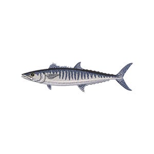May include: Embroidered image of a wahoo fish, a long, streamlined fish with a pointed snout and a forked tail. The fish is primarily blue and silver, with dark blue stripes along its back and fins. The background is plain white.