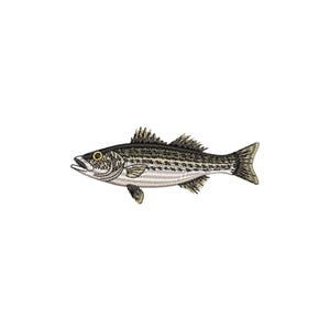 May include: An embroidered patch of a striped bass fish. The fish features a dark grey and black striped pattern along its back, fading into a lighter silver and white belly. It has a yellow eye, detailed fins, and a visible open mouth.
