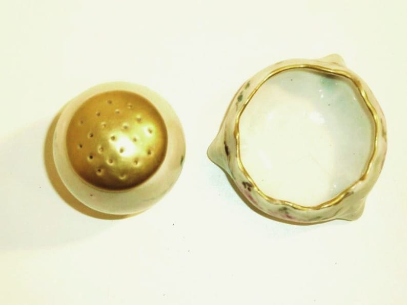 Early 1900 TV Rose Pattern Salt and Pepper Set