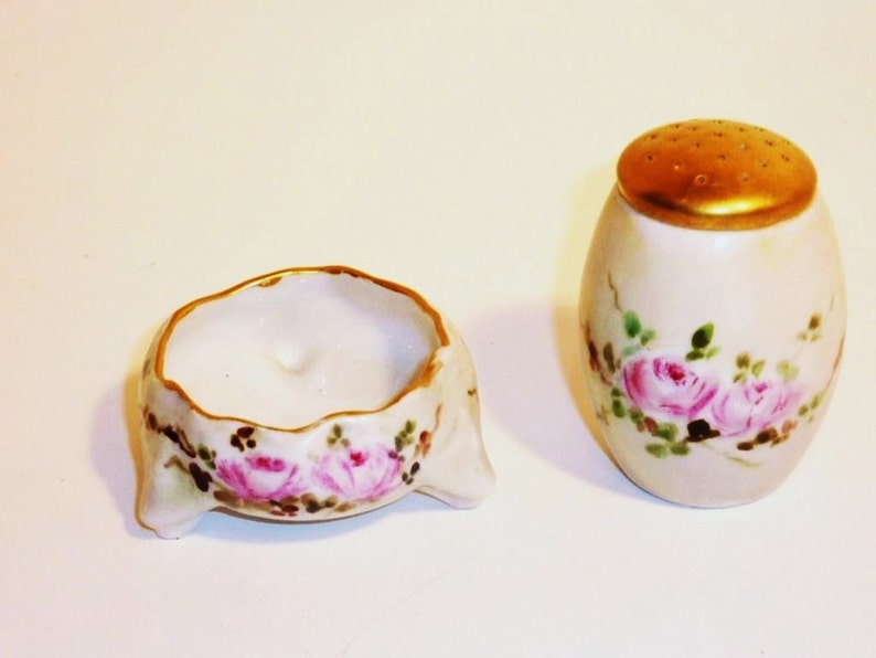 Early 1900 TV Rose Pattern Salt and Pepper Set