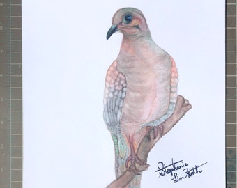 Rainbow Mourning Dove marker drawing 8.5x11 inch on white cardstock paper